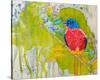 Painted Bunting-null-Stretched Canvas