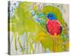 Painted Bunting-null-Stretched Canvas