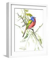 Painted Bunting-Suren Nersisyan-Framed Art Print