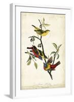 Painted Bunting-John James Audubon-Framed Art Print