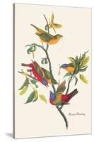 Painted Bunting-John James Audubon-Stretched Canvas