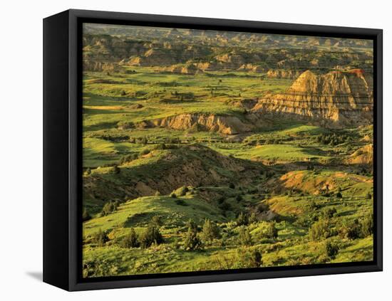 Painted Canyon after Storm in Theodore Roosevelt National Park, North Dakota, USA-Chuck Haney-Framed Stretched Canvas