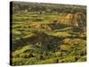 Painted Canyon after Storm in Theodore Roosevelt National Park, North Dakota, USA-Chuck Haney-Stretched Canvas