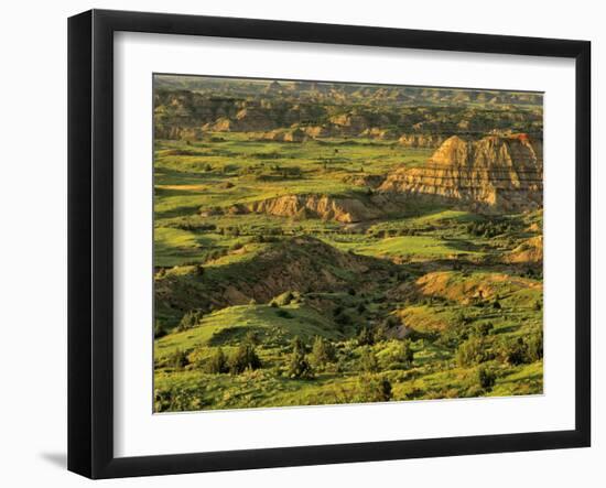 Painted Canyon after Storm in Theodore Roosevelt National Park, North Dakota, USA-Chuck Haney-Framed Photographic Print