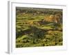 Painted Canyon after Storm in Theodore Roosevelt National Park, North Dakota, USA-Chuck Haney-Framed Photographic Print