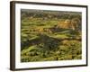 Painted Canyon after Storm in Theodore Roosevelt National Park, North Dakota, USA-Chuck Haney-Framed Photographic Print