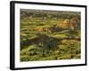 Painted Canyon after Storm in Theodore Roosevelt National Park, North Dakota, USA-Chuck Haney-Framed Photographic Print