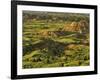 Painted Canyon after Storm in Theodore Roosevelt National Park, North Dakota, USA-Chuck Haney-Framed Photographic Print