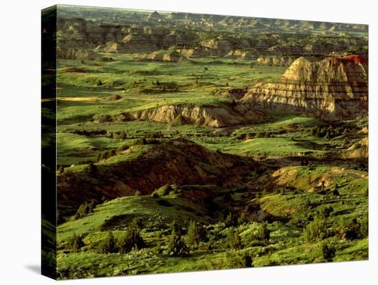 Painted Canyon in Theodore Roosevelt National Park, North Dakota, USA-Chuck Haney-Stretched Canvas