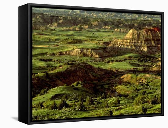 Painted Canyon in Theodore Roosevelt National Park, North Dakota, USA-Chuck Haney-Framed Stretched Canvas