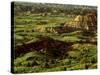 Painted Canyon in Theodore Roosevelt National Park, North Dakota, USA-Chuck Haney-Stretched Canvas