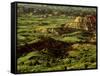 Painted Canyon in Theodore Roosevelt National Park, North Dakota, USA-Chuck Haney-Framed Stretched Canvas