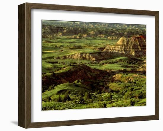 Painted Canyon in Theodore Roosevelt National Park, North Dakota, USA-Chuck Haney-Framed Photographic Print