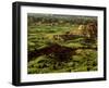 Painted Canyon in Theodore Roosevelt National Park, North Dakota, USA-Chuck Haney-Framed Photographic Print