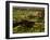 Painted Canyon in Theodore Roosevelt National Park, North Dakota, USA-Chuck Haney-Framed Photographic Print