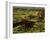 Painted Canyon in Theodore Roosevelt National Park, North Dakota, USA-Chuck Haney-Framed Photographic Print