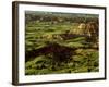 Painted Canyon in Theodore Roosevelt National Park, North Dakota, USA-Chuck Haney-Framed Photographic Print