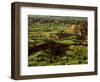 Painted Canyon in Theodore Roosevelt National Park, North Dakota, USA-Chuck Haney-Framed Photographic Print