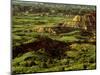 Painted Canyon in Theodore Roosevelt National Park, North Dakota, USA-Chuck Haney-Mounted Photographic Print