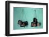 Painted Christian Items, Axoum (Axum) (Aksum), Tigre Region, Ethiopia, Africa-Bruno Barbier-Framed Photographic Print