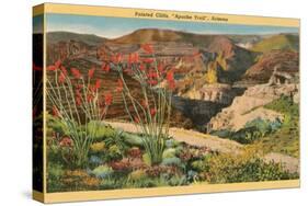 Painted Cliffs, Apache Trail, Arizona-null-Stretched Canvas