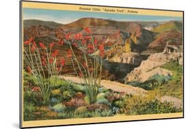 Painted Cliffs, Apache Trail, Arizona-null-Mounted Art Print