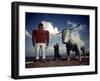 Painted Concrete Sculpture of Paul Bunyon and His Blue Ox, Babe Standing on Shores of Lake Bemidji-Andreas Feininger-Framed Photographic Print