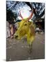 Painted Cow, Mysore, Karnataka, India-Michele Falzone-Mounted Photographic Print