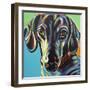 Painted Dachshund I-Carolee Vitaletti-Framed Art Print