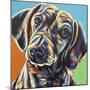 Painted Dachshund II-Carolee Vitaletti-Mounted Art Print