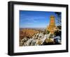 Painted Desert and Marble Canyon, Grand Canyon National Park, Arizona, USA-Bernard Friel-Framed Photographic Print