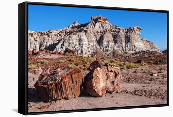 Painted Desert Badlands Petrified Forest-mandj98-Framed Stretched Canvas