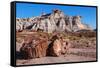 Painted Desert Badlands Petrified Forest-mandj98-Framed Stretched Canvas