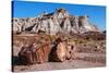 Painted Desert Badlands Petrified Forest-mandj98-Stretched Canvas