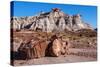 Painted Desert Badlands Petrified Forest-mandj98-Stretched Canvas