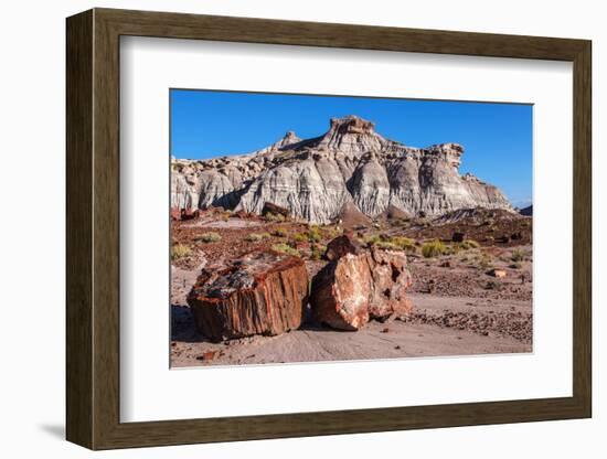 Painted Desert Badlands Petrified Forest-mandj98-Framed Photographic Print