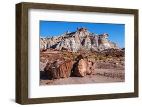 Painted Desert Badlands Petrified Forest-mandj98-Framed Photographic Print