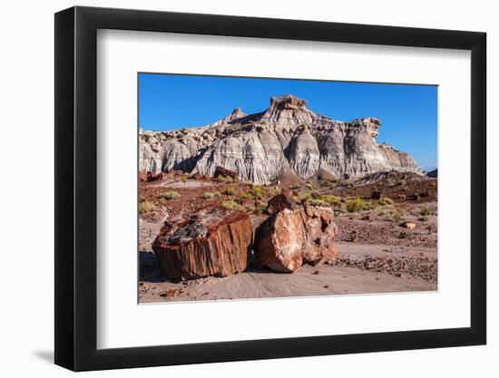 Painted Desert Badlands Petrified Forest-mandj98-Framed Photographic Print