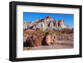 Painted Desert Badlands Petrified Forest-mandj98-Framed Photographic Print