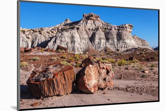 Painted Desert Badlands Petrified Forest-mandj98-Mounted Photographic Print