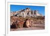 Painted Desert Badlands Petrified Forest-mandj98-Framed Photographic Print