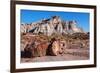 Painted Desert Badlands Petrified Forest-mandj98-Framed Photographic Print