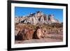 Painted Desert Badlands Petrified Forest-mandj98-Framed Photographic Print