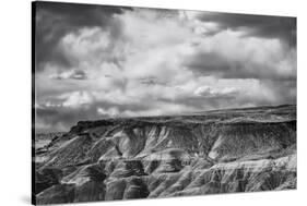 Painted Desert from Lacey Point, Petrified Forest National Park, Arizona-Jerry Ginsberg-Stretched Canvas