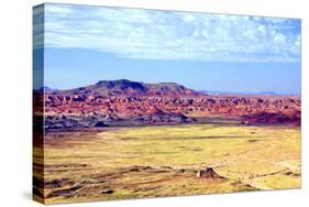 Painted Desert Landscape-Douglas Taylor-Stretched Canvas
