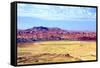 Painted Desert Landscape-Douglas Taylor-Framed Stretched Canvas