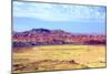 Painted Desert Landscape-Douglas Taylor-Mounted Photographic Print