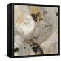 Painted Desert Neutral-Silvia Vassileva-Framed Stretched Canvas