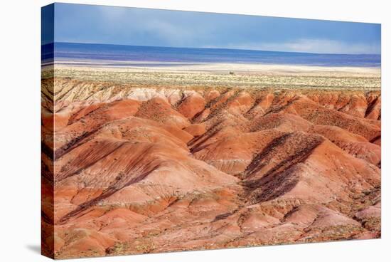 Painted Desert, Petrified Forest National Park, Arizona, USA-Jamie & Judy Wild-Stretched Canvas