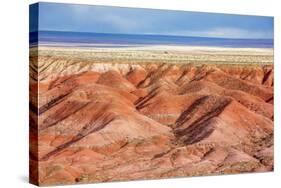 Painted Desert, Petrified Forest National Park, Arizona, USA-Jamie & Judy Wild-Stretched Canvas